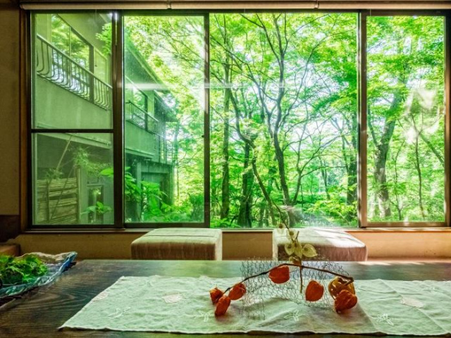 Hakone Onsen Sanso Nakamura - Hakone