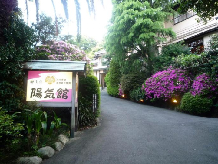Image Alt