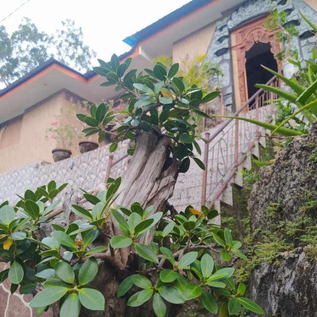 Sion Homestay - Nusa Penida