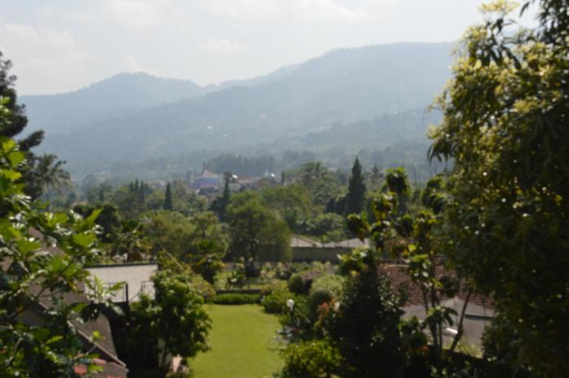 Hotel Lurus - Puncak