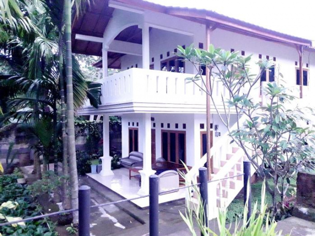Orange Aquarius - Puncak