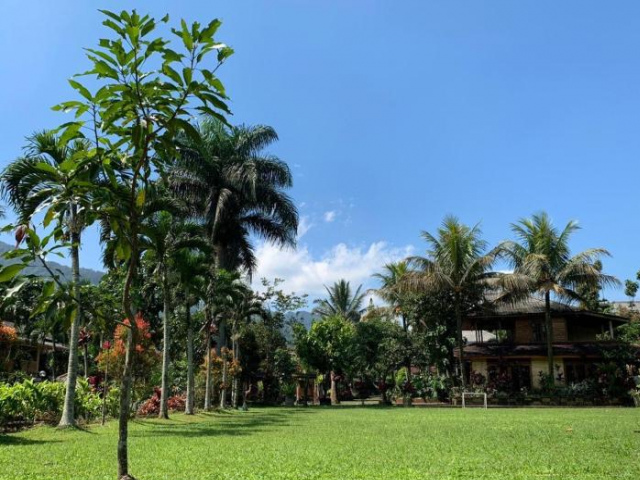 Orange Aquarius - Puncak