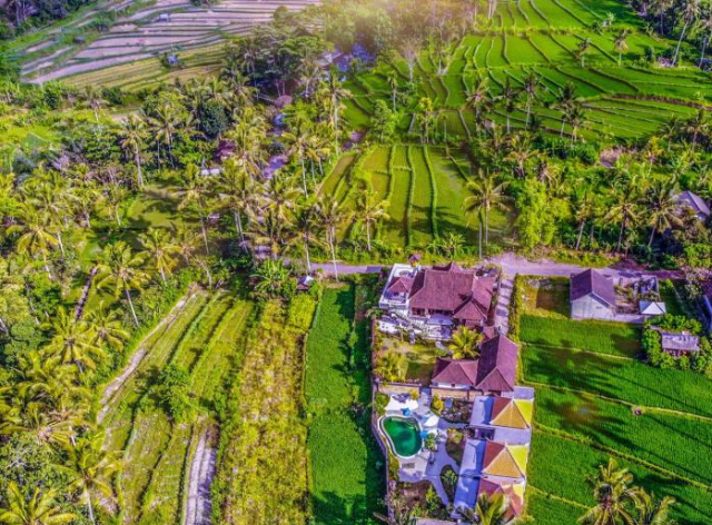 Dana Bali Ricefield Villa - Candidasa