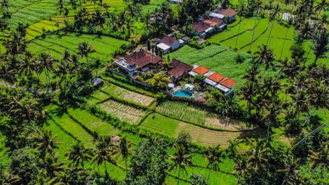 Dana Bali Ricefield Villa - Candidasa