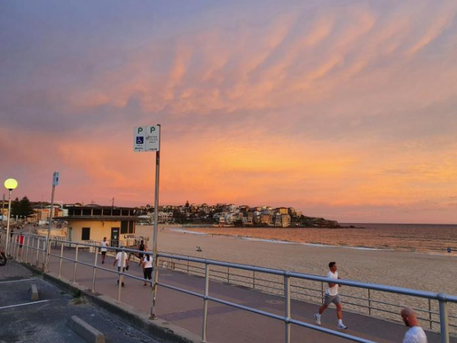 Bondi Beach Backpackers - 雪梨