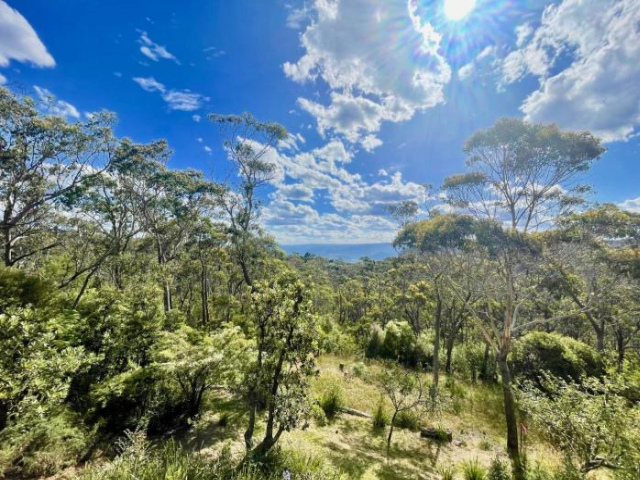 Narrow Neck Retreat - 卡頓巴