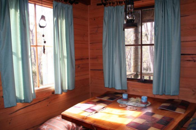 Wombat Cabin - 塔斯馬尼亞