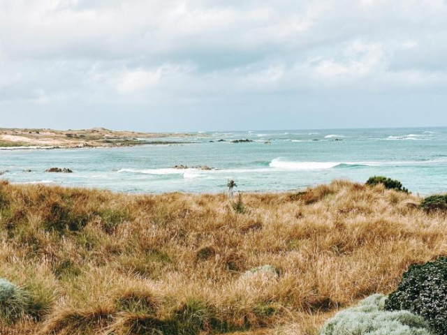 Wave Retreat, King Island - Tasmania