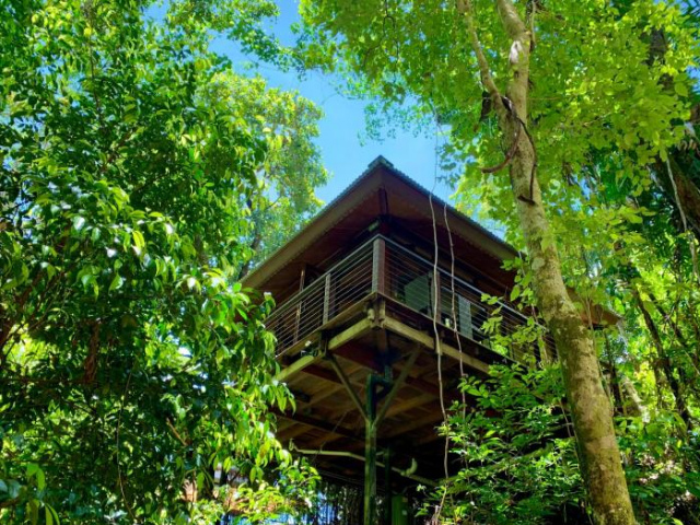 Cairns Rainforest Retreat - Queensland