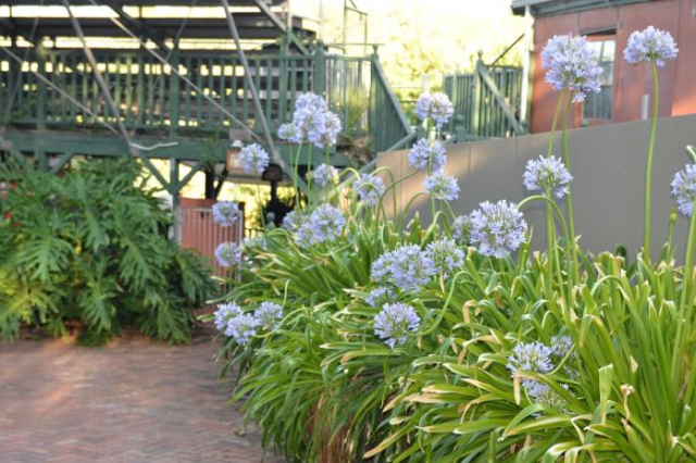 Mundaring Weir Hotel - Swan Valley