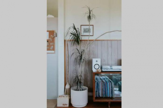 The Shack at Skenes Creek - Apollo Bay