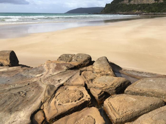 Cumberland River Holiday Park - Lorne