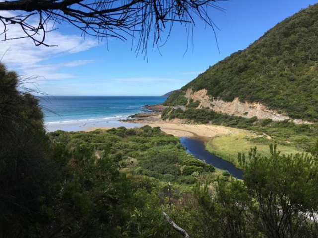 Cumberland River Holiday Park - Lorne