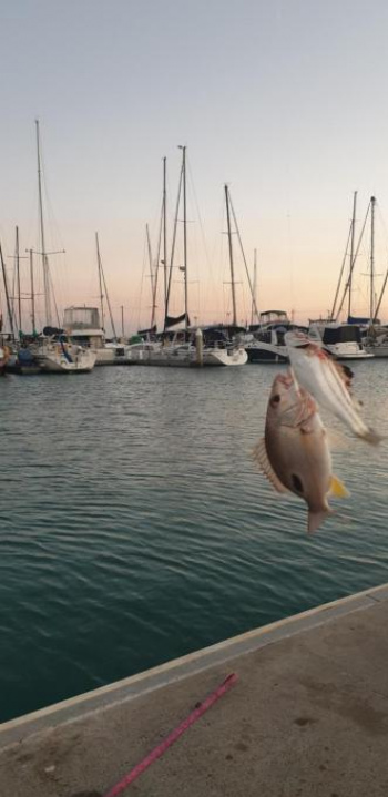 Santalina On Hervey Bay - Hervey Bay