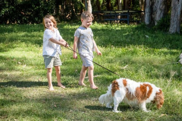 Coolum Family Hideaway - Private Pool & Sauna - Coolum Beach