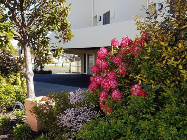 Bella Vista Motel & Apartments Christchurch - 基督城