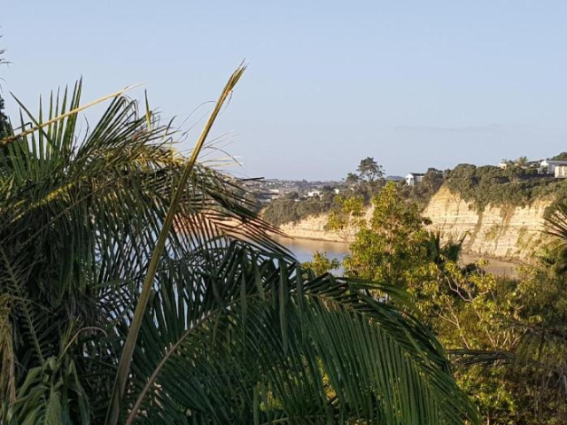 Close to beach - 奧克蘭