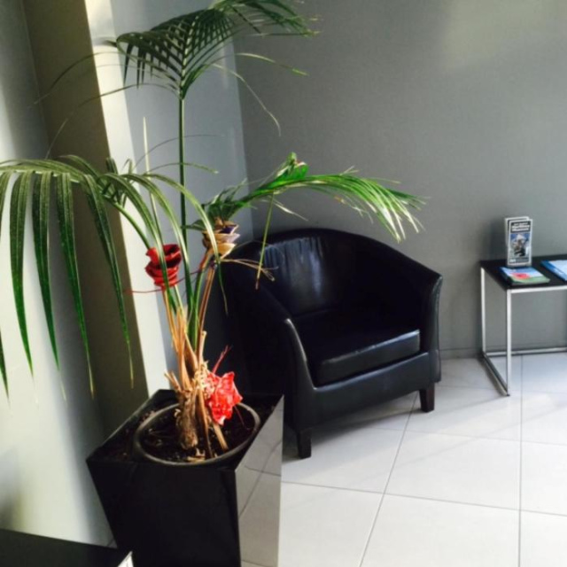 Parnell Pines Hotel - Auckland