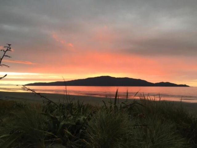 Quiet and Cosy - Wellington