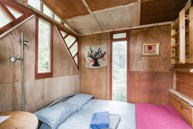 The Treehut - Wellington