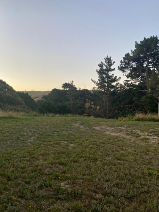 O'Harui Farm Stay - Wellington