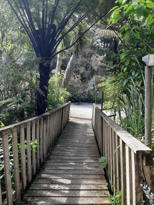 Buena Vista Apartment - 南島