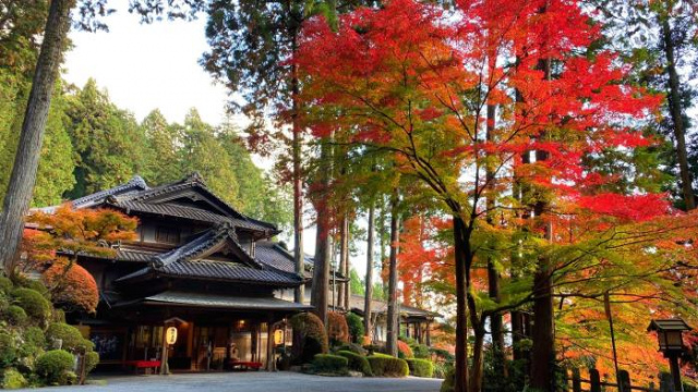 Yunoshimakan - Gero Onsen