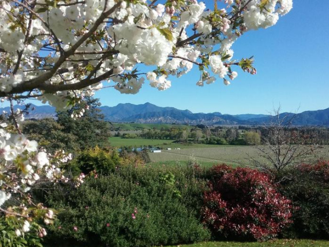 Omaka Heights Countrystay - South Island