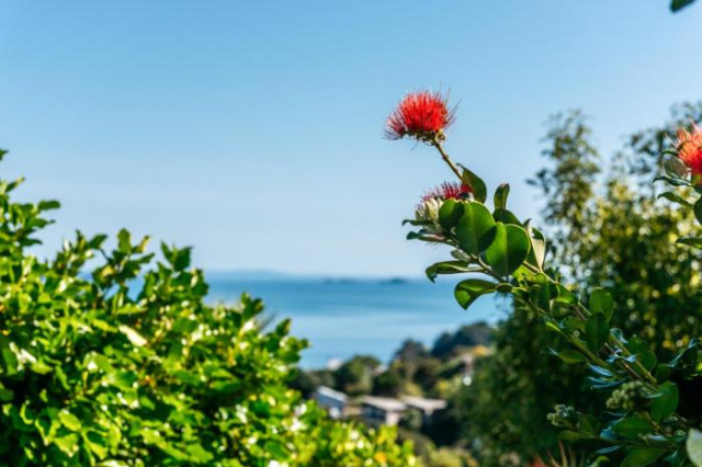 Kowhai Cottage - Waiheke Island