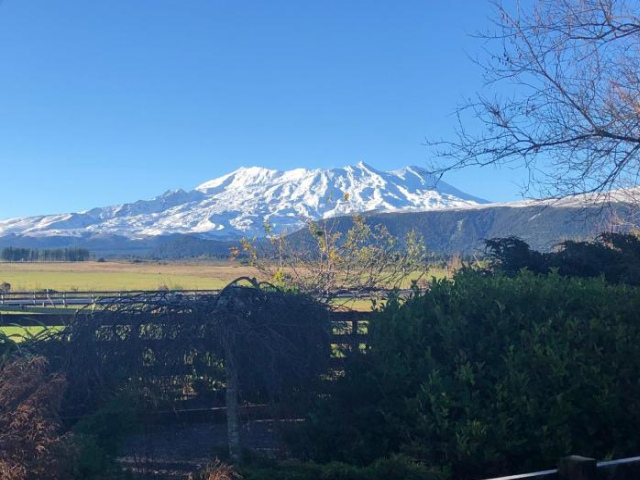 Pukenui Lodge - North Island