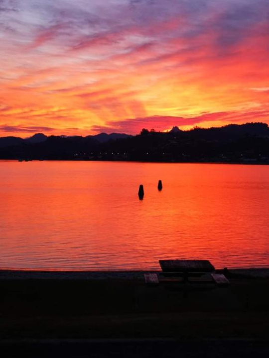 Paku Lodge Resort - North Island