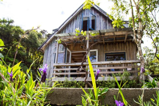 Fern Lodge Coromandel - Coromandel Peninsula
