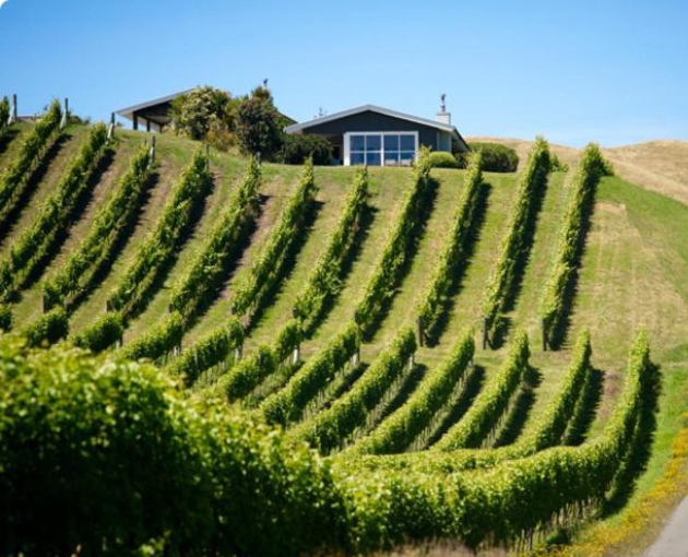Miller Avenue Hotel - Hawke's Bay