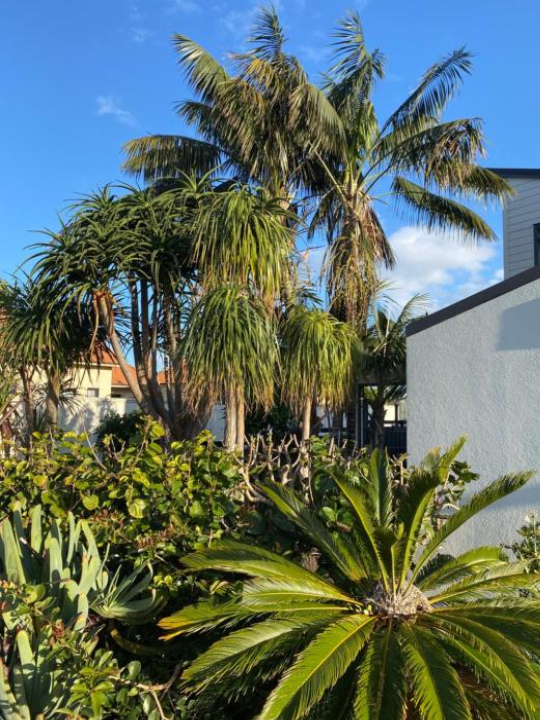 The Palms on Bermuda - Northland