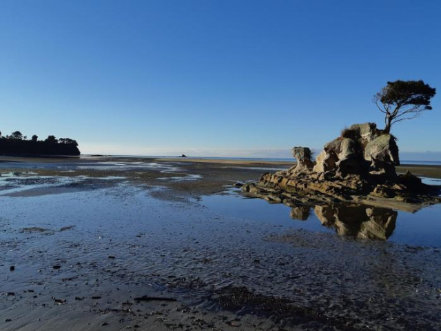 Two Tuis Accommodation - Tasman