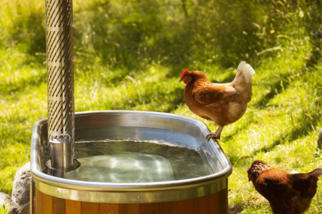 Alpacas Off Grid - Eco Cabin - Tasman
