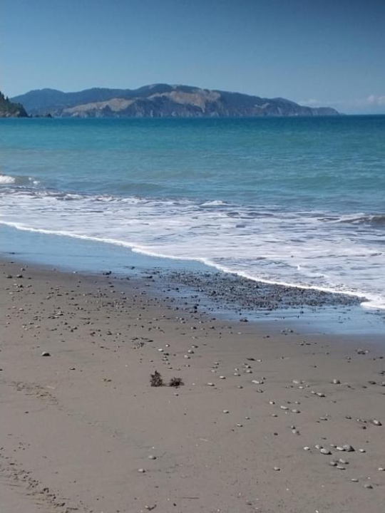 Rarangi Sea View Beach Bed and Breakfast - Marlborough