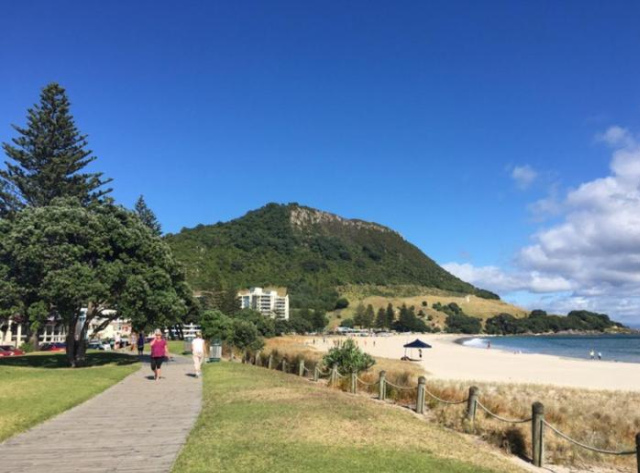 Victoria Road B&B - Bay of Plenty