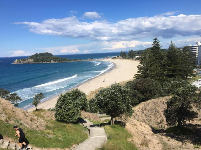 Beach Break Escape 226 - Bay of Plenty
