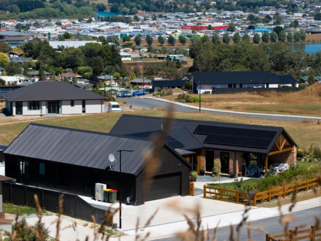 Piwakawaka Suite - Otago