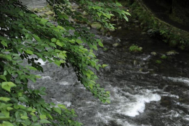 Shirasagiyu Tawaraya - Kaga Onsen