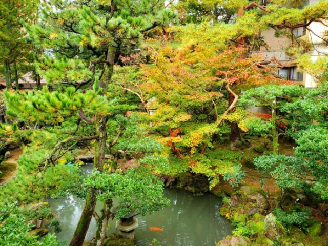 Hoshi - Kaga Onsen