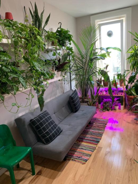 Urban Jungle Oasis in Queens! - Queens