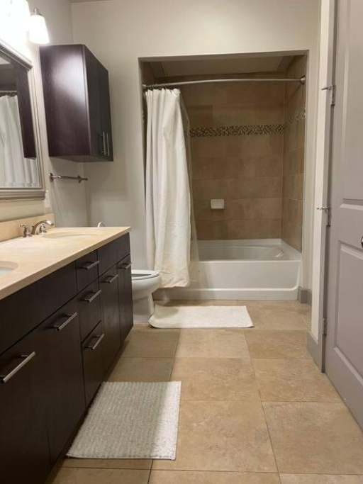 beautiful watertown apartment - Boston