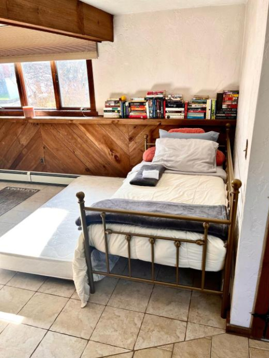 Daybed with trundle - access to home library & bar - Boston