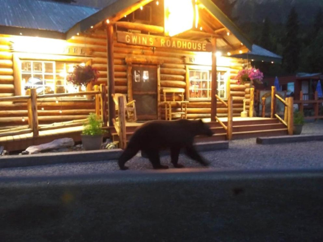 Trophy Lodge Accommodations - Alaska