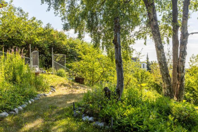 Downtown Oceanview Luxury Home - Alaska