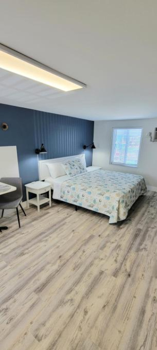 Satellite Motel - Cambria