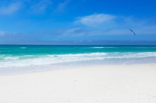 Edgewater Golf Villa 303 - The Salt Life Escape - Myrtle Beach