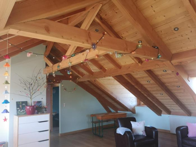 Combles et Vous - COLMAR Gare - ALL INCLUSIVE - Jardin - Free Parking - Colmar